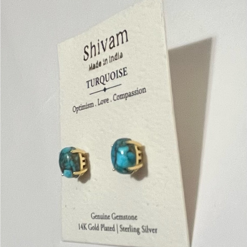 Shivam Turquoise / 14K Gold Plated Earrings